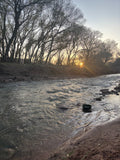 Meet Animals and enjoy the River