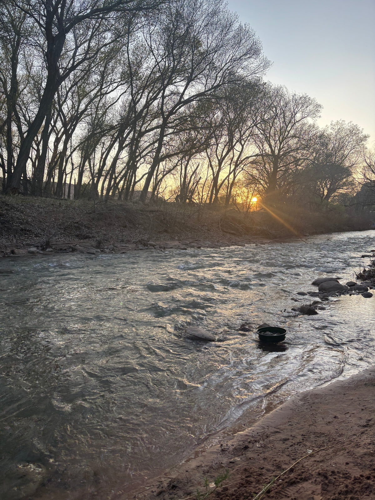 Meet Animals and enjoy the River