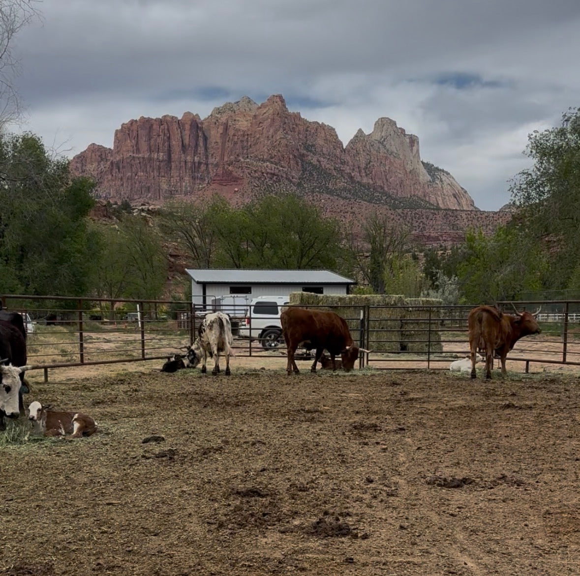 Rent the Farm for the Day